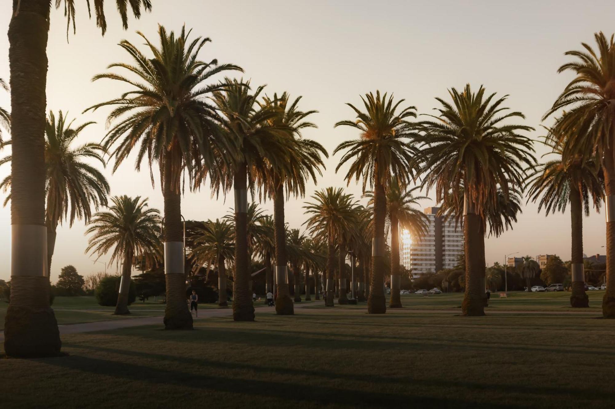 Mac St Kilda Blessington St By Melbourne Apartment Collection Dış mekan fotoğraf